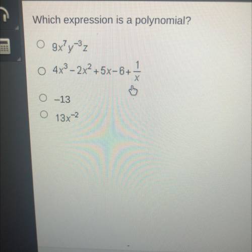 Which expression is a polynomial