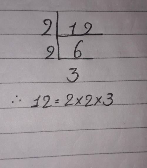 Factorise the given number  12​
