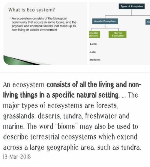 What is ecosystem types of ecosystem​