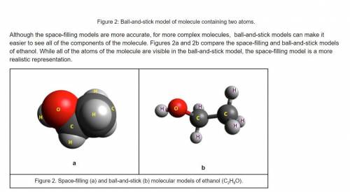 What components of molecules are represented in each type of model? What components are missing fro