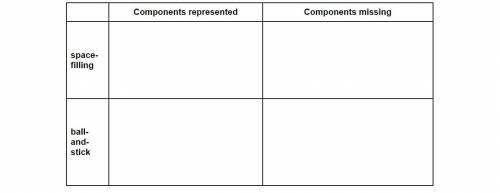 What components of molecules are represented in each type of model? What components are missing fro