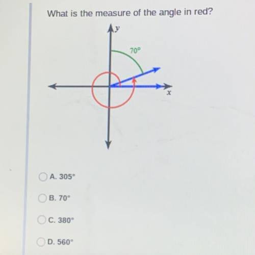 What is the measure of the angle in red?
70°
