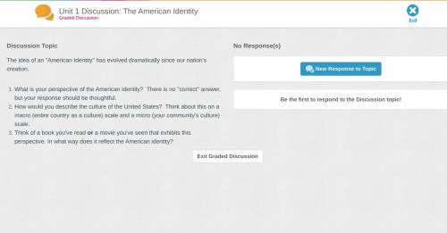 Discussion Topic

The idea of an American Identity has evolved dramatically since our nation's c