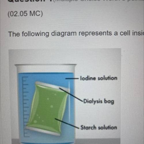 HELP The following diagram represents a cell inside a flask of media:

Over time, the cell