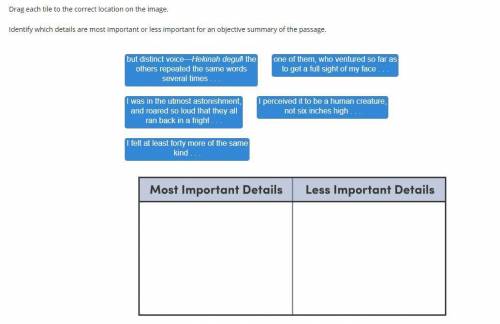 Identify which details are most important or less important for an objective summary of the passage