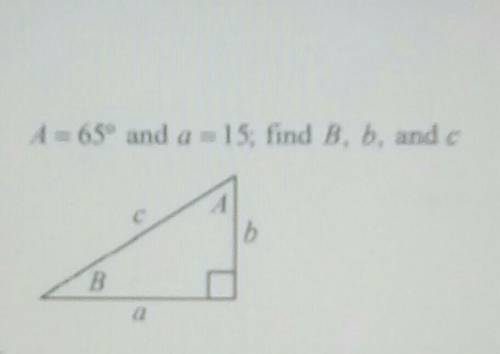 Plz help me find the sides of the triangle​