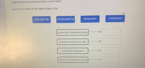 Match the function to the type of type of fat.