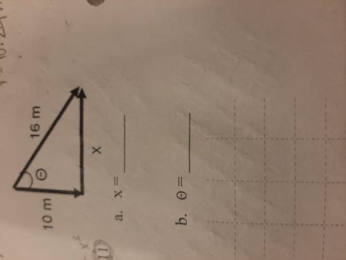 PLEASE HELP ME :)
Solve for x on this triangle