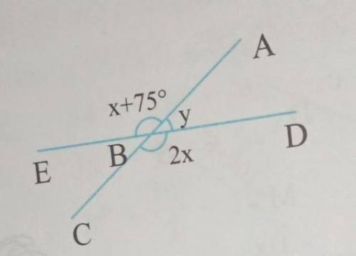Helppfind the value of x and y ​