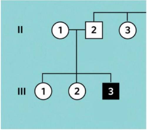 Using the above pedigree, explain why Individual III-3 has albinism even though both of his parents