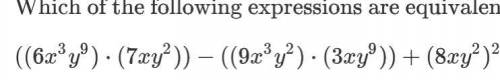 Please solve this polynomial (and explain the steps)