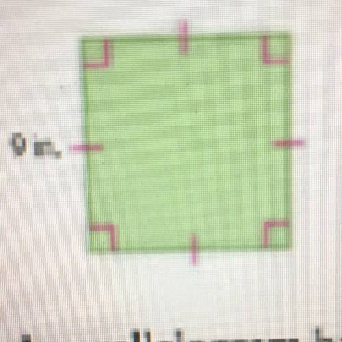 It says 9 in. Also find the perimeter and area. If y’all could help me out that would be great.