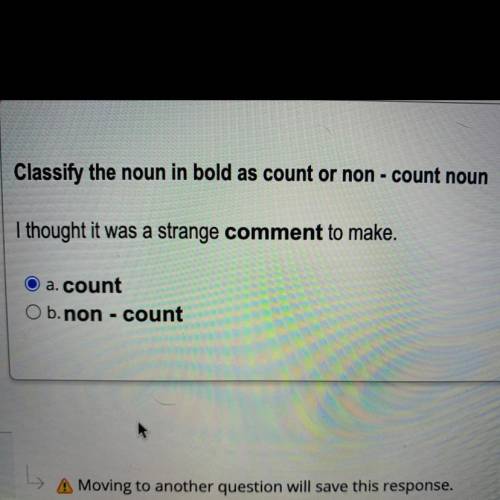 Classify the noun in bold as count or non-count noun