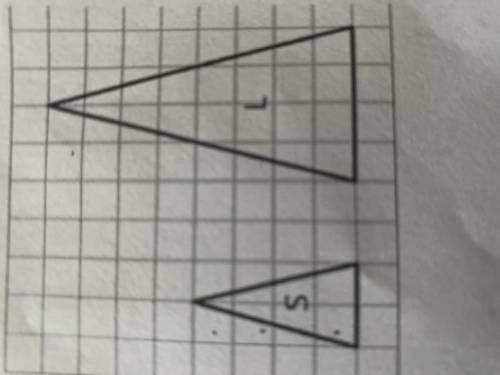 What is the scale factor from L to S