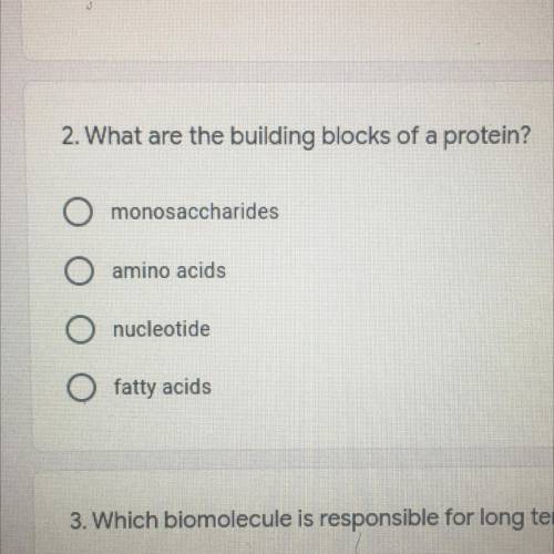 What are the building blocks of proteins
