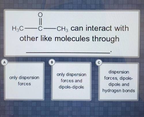 Please help!

A. Only Dispersion Forces B. Only Dispersion Forces and dipole-dipole C. Dispersion