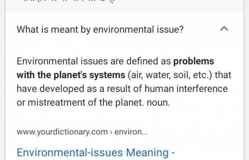 What is an environmental issue￼?