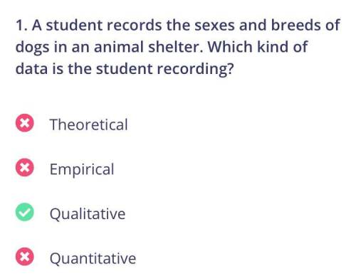 Ape)x

A student is recording different sexes at the animal shelter
Qualitative Just did the test
