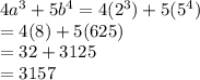 4 {a}^{3}  + 5 {b}^{4}   = 4( {2}^{3}) + 5( {5}^{4}  )  \\  = 4(8) + 5(625) \\  = 32 + 3125 \\  = 3157
