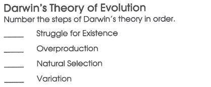 Number the steps of Darwin's theory in order.