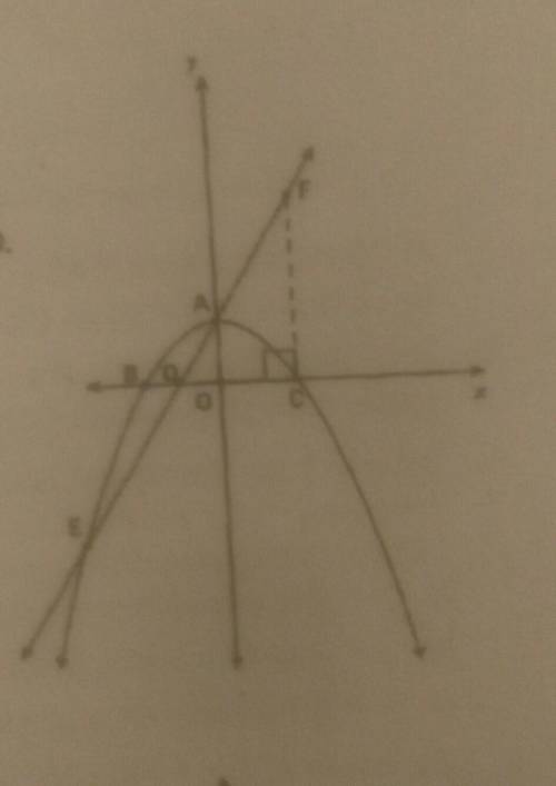 Calculate the coordinates of A,b,c and d​
