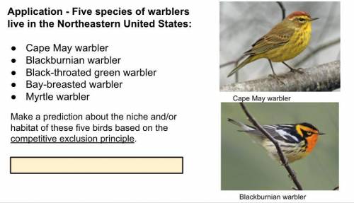 Screenshot below is self explanatory

> competitive exclusion principle - that two species with