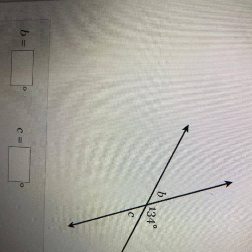 Helppp
find the measure of the missing angles