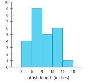 The histogram represents the distribution of lengths, in inches, of 25 catfish caught in a lake.
