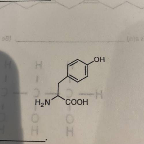 What is this molecule called?