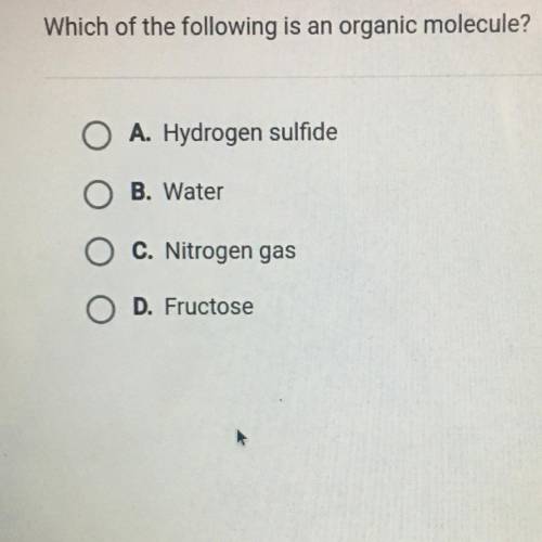 Which of the following is an organic molecule?