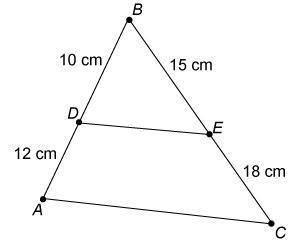 Please help!

Is △DBE similar to △ABC? If so, which postulate or theorem proves these two triangle