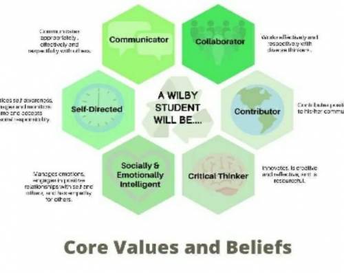 Choose 2 Core Values and explain how you are able to learn and use these values in PE/Health class.