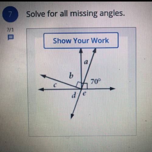 Solve for all missing angles.
Show Your Work
