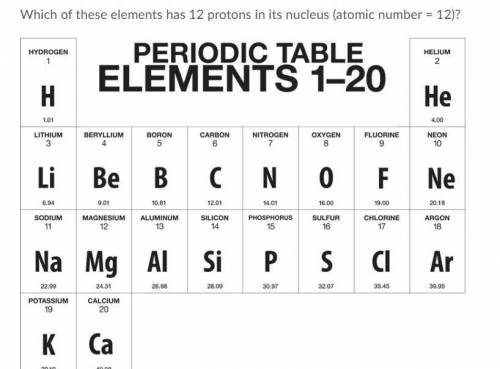 Which of these elements has 12 protons in its nucleus (atomic number = 12)?

What are the first 20