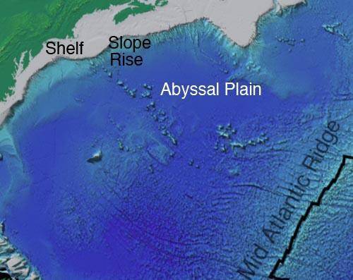 In the image shown below, the abyssal plain is shown in what color?

A. Blue.
B. Green.
C. Orange.