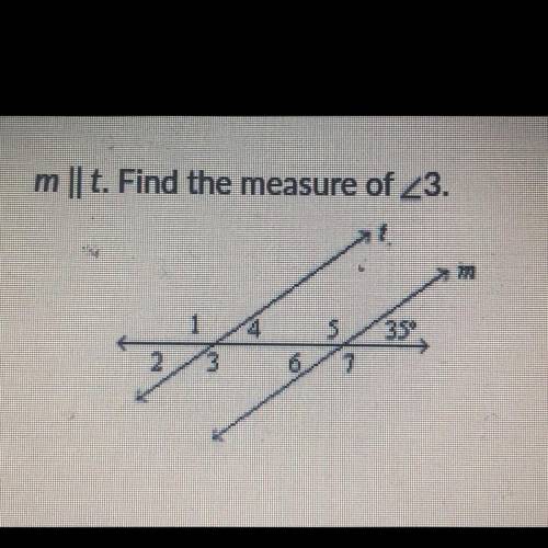 M || t. Find the measure of 23.