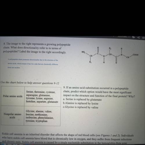 Functional groups. Question 9 please