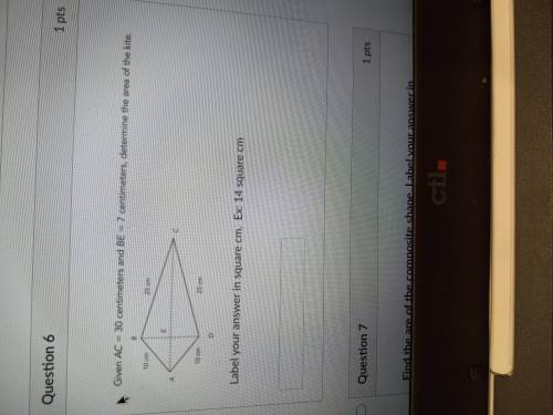 Help please I need it answered right now I am really struggling please help me.