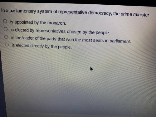 In a parliamentary system of representative democracy, the prime minister