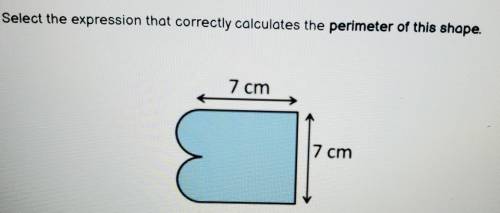Pleaseeee Select the expression that correctly calculates the perimeter of this shape. 7 cm 7 cm​