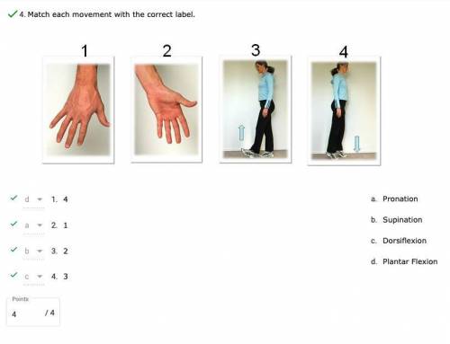 Match each movement with the correct label.

Pronation ( is turning the palm down or backward)
Sup