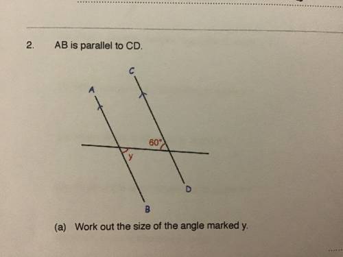 In this diagram AB is parallel to CD what’s the size of angle x