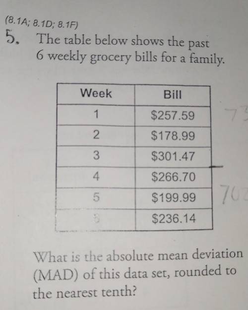 HELP PLEASE!!! MEAN ABSOLUTE DEVIATION (will give brainliest)​