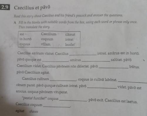 LATIN WORKSHEET PLEASE HELP DUE MONDAY

Read this story about Caecilius and his friend's p