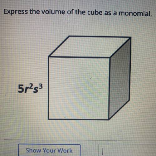 Express the volume of the cube as a monomial.
HELPPP!!!