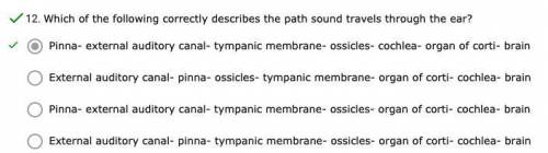 Which of the following correctly describes the path sound travels through the ear?

*a
pls pst