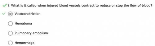What is it called when injured blood vessels contract to reduce or stop the flow of blood?