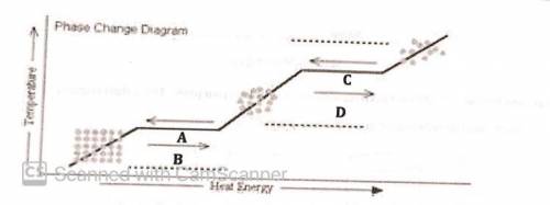 9. In the phase change diagram above, the horizontal lines represent

A. A constant temperature of