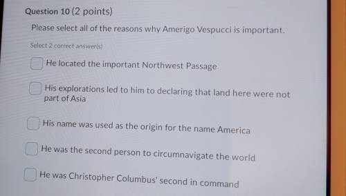 Please select all of the reasons why Amerigo Vespucci is important. Select 2 correct answer(s) He l