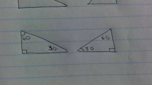 TRUE OR FLASE PPLEASE HELP ME;-; 
THE triangles show below must be congruent